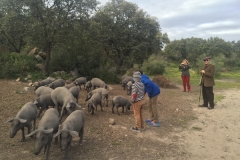00005PEPE ALBA -Pangea con turismodeljamon.com 4:9:2016