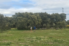 00006PEPE ALBA -Pangea con turismodeljamon.com 4:9:2016