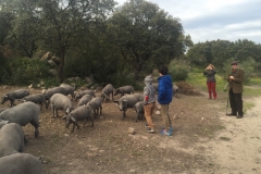 00014PEPE ALBA -Pangea con turismodeljamon.com 4:9:2016