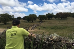 00007Pepe Alba turismo del jamón 6:5:2018