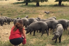 00009Pepe Alba turismo del jamón 6:5:2018