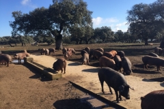 0000712-02-2018 Touroperador Americano 2:15:2018