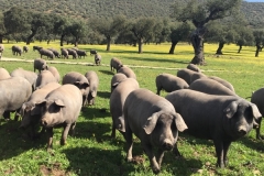 0002712-03-2018 Grupo Chinos 3:15:2018