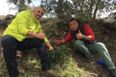 0004212-03-2018 Grupo Chinos 3:15:2018