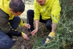 0004912-03-2018 Grupo Chinos 3:15:2018