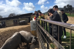 0005212-03-2018 Grupo Chinos 3:15:2018