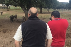 00004PEPE ALBA 17-10-2015 Periodista Mexicano - Trabajo para la Extremadura Turismo