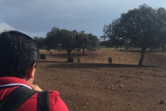 00008PEPE ALBA 17-10-2015 Periodista Mexicano - Trabajo para la Extremadura Turismo