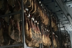 turismodeljamon-Pepe Alba6 10:28:2016