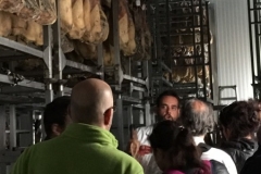 turismodeljamon-Pepe Alba7 10:28:2016